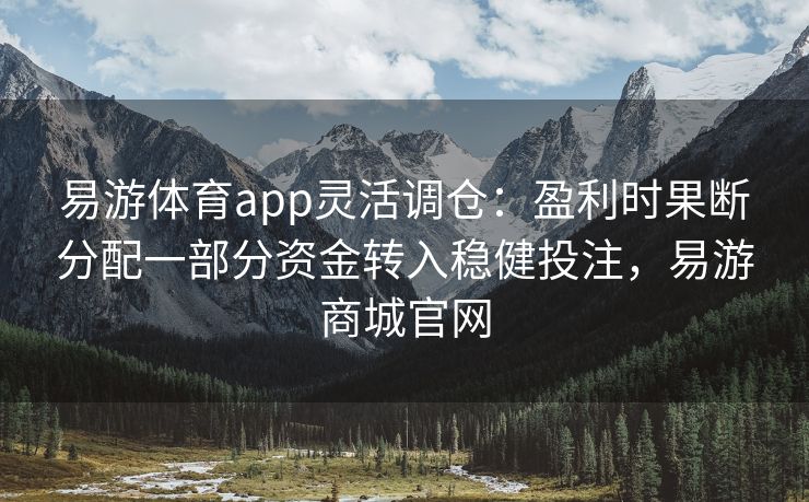 易游体育app灵活调仓：盈利时果断分配一部分资金转入稳健投注，易游商城官网  第2张