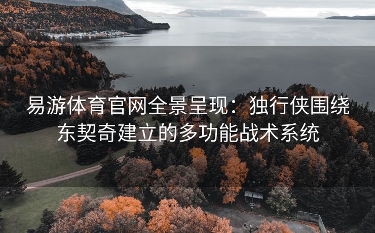 易游体育官网全景呈现：独行侠围绕东契奇建立的多功能战术系统  第1张