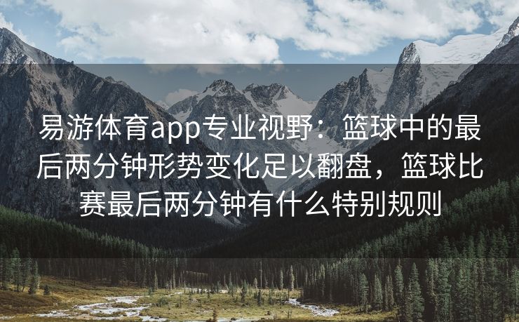 易游体育app专业视野：篮球中的最后两分钟形势变化足以翻盘，篮球比赛最后两分钟有什么特别规则  第1张